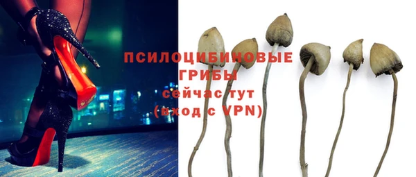 мяу мяу мука Верхний Тагил