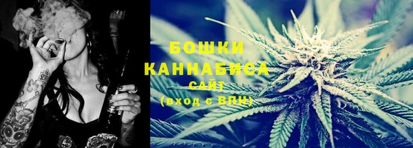 индика Белоозёрский