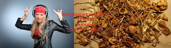 мяу мяу мука Верхний Тагил