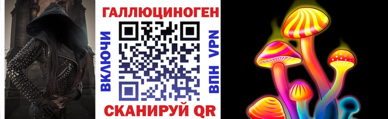 Псилоцибиновые грибы MAGIC MUSHROOMS  магазин продажи наркотиков  Дагестанские Огни 
