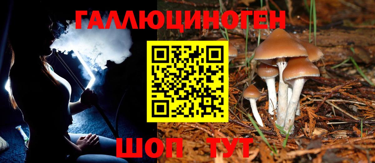 Псилоцибиновые грибы GOLDEN TEACHER Дагестанские Огни